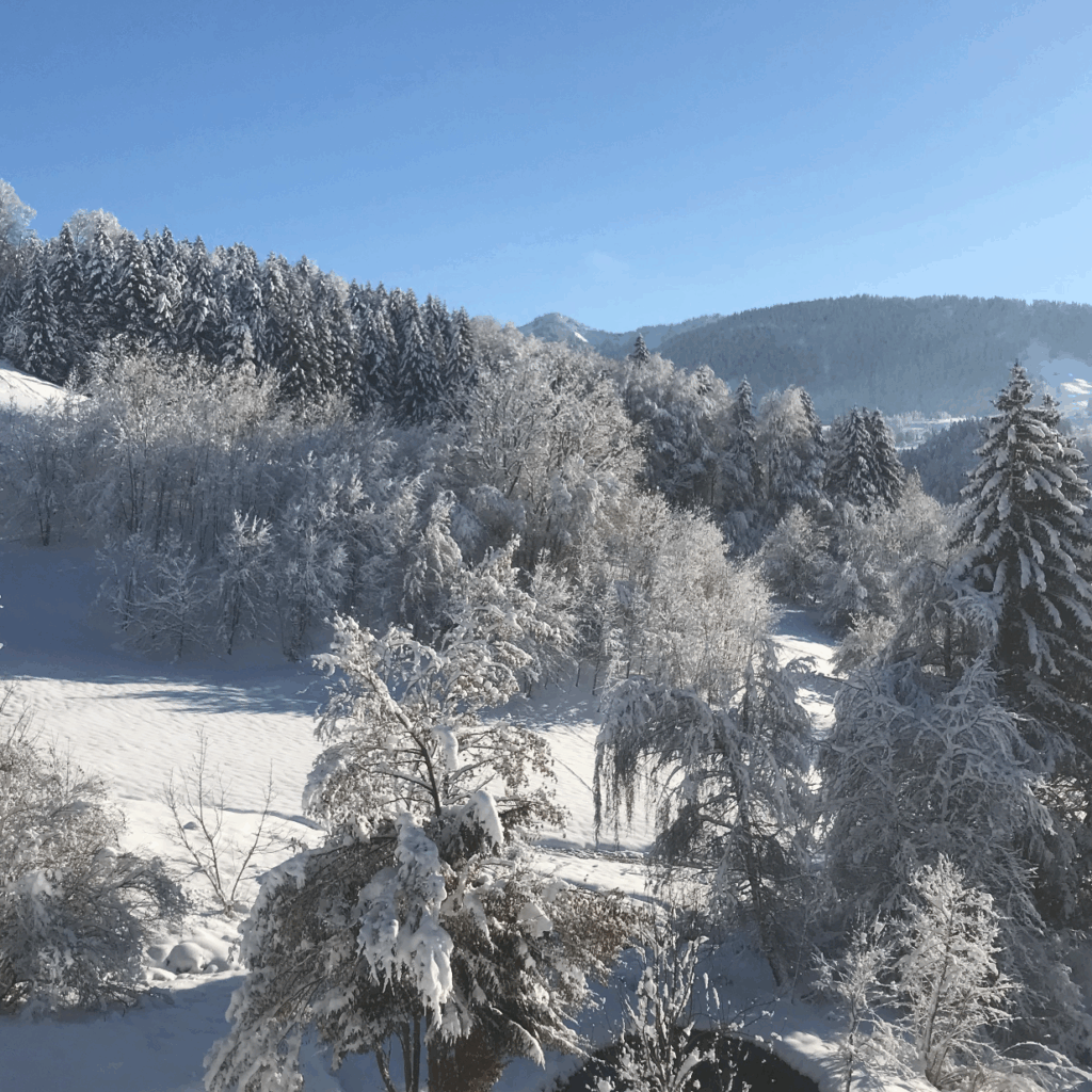 Aussicht vom Alpchalet im Winter mit Schnee