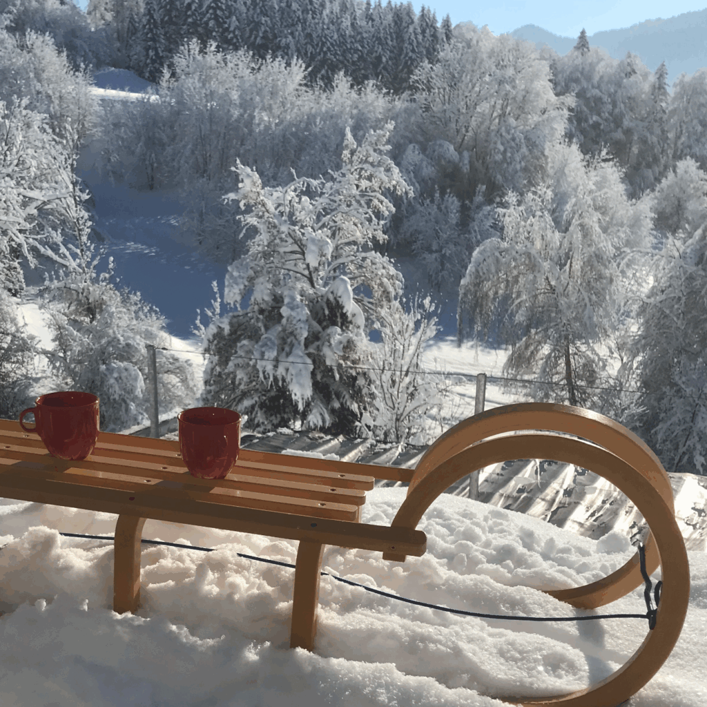 Schlitten im Winter